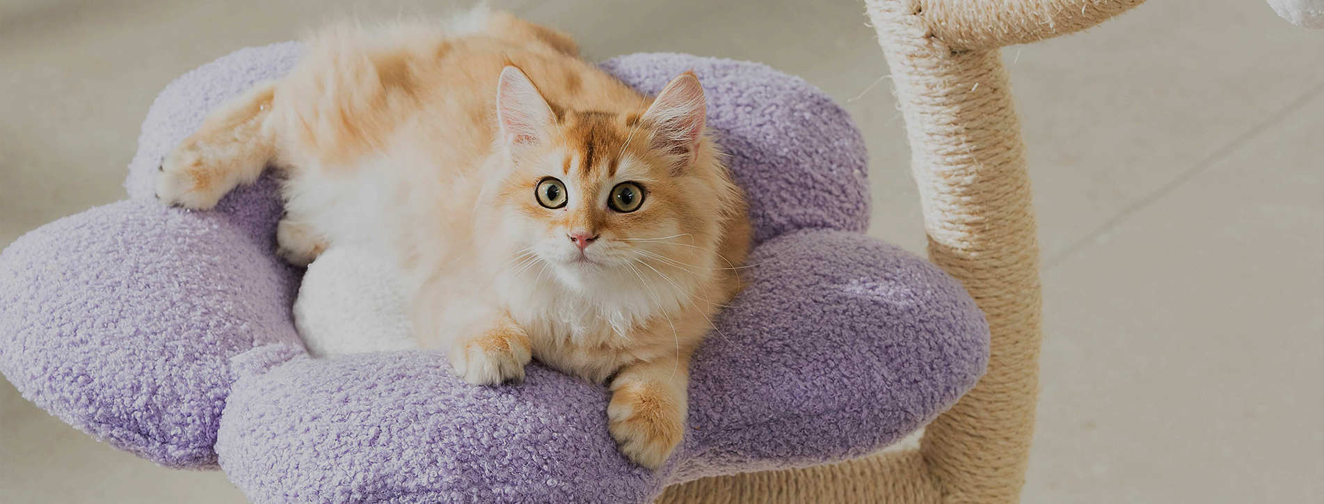 キャットツリーメーカー